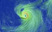 Trưa mai (16/9), bão số 10 giật cấp 15 đổ bộ Nghệ An - Quảng Trị