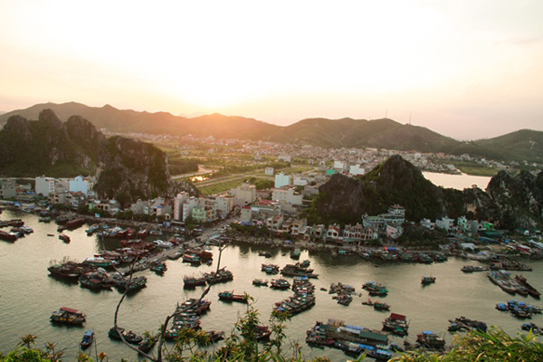 Bến cảng Cái Rồng thuộc huyện đảo Vân Đồn, một trong ba đặc khu hành chính kinh tế đặc biệt dự kiến được thành lập.