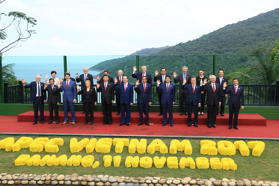 Nơi chụp ảnh của các lãnh đạo được xây dựng mới rộng 600m2, có sàn gỗ rộng 55m2, bao quát toàn cảnh biển đảo. Thảm hoa nghiêng được thiết kế chi tiết, tỉ mỉ, có logo APEC Việt Nam 2017 nổi bật màu vàng. Khu vực này được bảo vệ bằng “hàng rào” kính chống đạn.