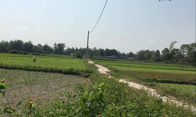 Đồng thôn Nam Sơn được dân môi giới giới thiệu sắp tới sẽ gần khu tái định cư. Ảnh: Thanh Trần.
