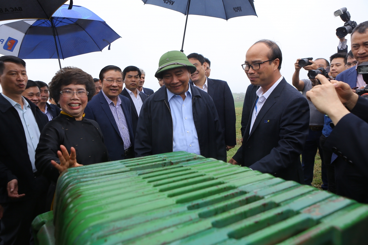 Thủ tướng Chính phủ Nguyễn Xuân Phúc thăm mô hình chăn nuôi bò sữa và cánh đồng công nghệ cao của TH.