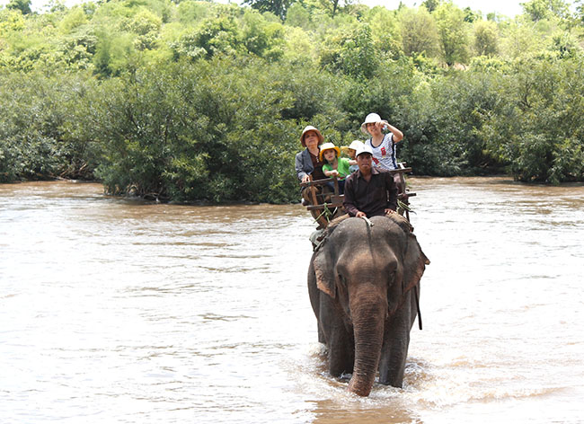 Du lịch cưỡi voi vượt sông Sêrêpôk.
