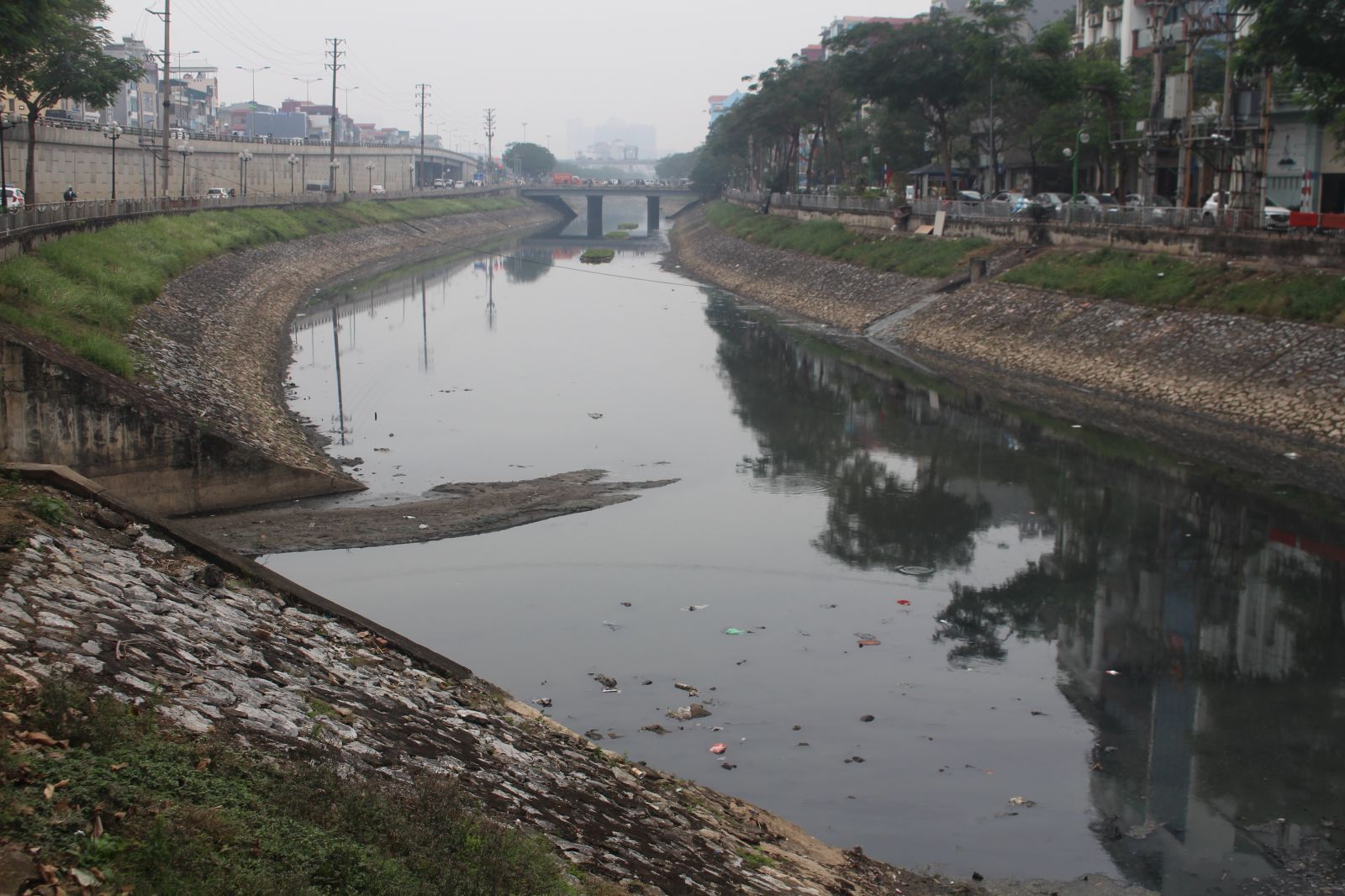 Trước sự ô nhiễm, mặt nước sông Tô Lịch thường xuất hiện những chất thải, rác thải chứ không phải là cá, hay các sinh vật khác.