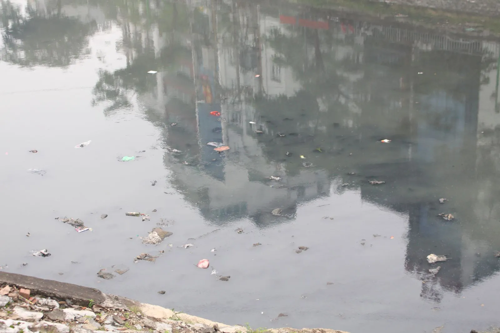 Sông Tô Lịch vẫn phải hứng chịu các rác thải như vỏ chai, túi nilon… điều này khiến sông bị ô nhiễm và bốc mùi khó chịu.