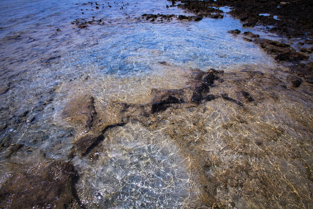 ...đó là những hốc san hô hóa thạch, biến thành những hồ tắm nhỏ giữa biển…