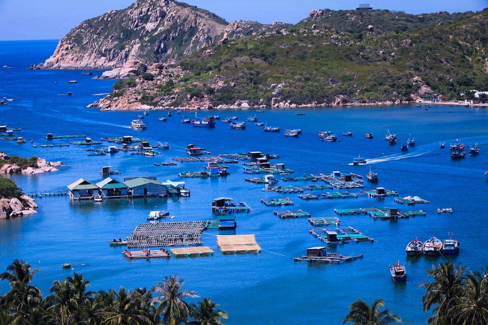 Là một trong những vịnh biển đẹp nhất Việt Nam, từ con đường uốn quanh núi nhìn xuống, Vĩnh Hy đẹp một màu nước xanh và những chấm nhỏ giữa mênh mông là tàu thuyền và bè nuôi hải sản của ngư dân.