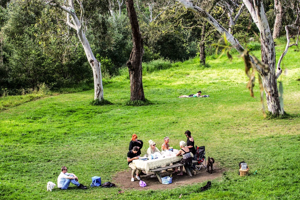 Hệ thống công viên của Melbourne với những thảm cỏ xanh rì chạy dọc theo sông Yarra là nơi chứng kiến những phút quây quần của các gia đình, đặc biệt dịp cuối tuần.