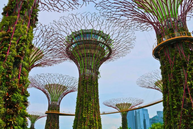  “Những khu vườn bên vịnh”, điểm nhấn mới cho không gian xanh của Singapore.