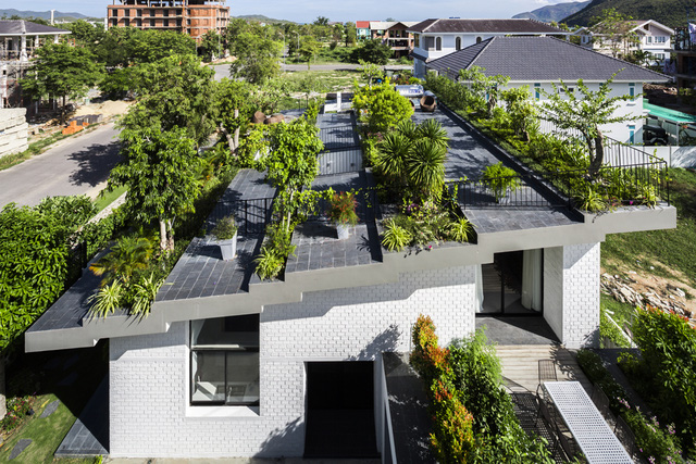  Còn đây là một ngôi nhà độc đáo ở Nha trang với một khu vườn trồng nhiều cây xanh và các loài thực vật khác ở trên phần mái của ngôi nhà.    