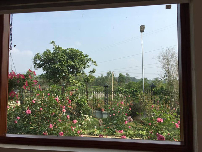 Ngôi nhà bé xinh, bình yên bên vườn hồng rực rỡ cách Hà Nội hơn 1 giờ đi ô tô - Ảnh 7.