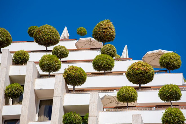 Khách sạn đặc biệt ở Israel. Những cây tán tròn được trồng ngay trên mái của tòa nhà này mang đến cảnh quan đặc biệt, tạo bóng râm và không khí trong lành cho khách đặt phòng ở đây.
