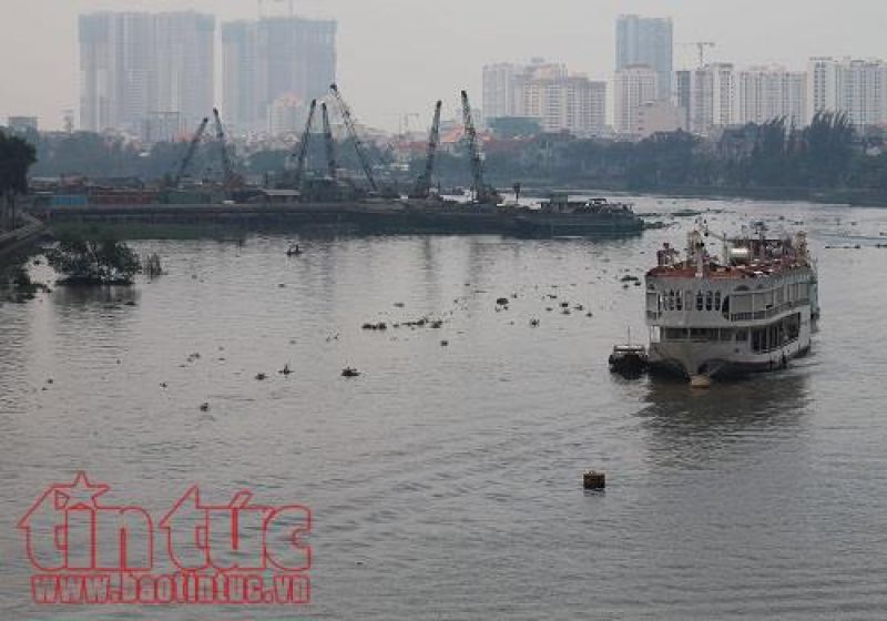 Tuyến buýt sông đưa vào hoạt động sẽ giảm áp lực cho giao thông đường bộ, đồng thời phát huy thế mạnh sông nước, đem lại nhiều giá trị dịch vụ, du lịch cho TP. Hồ Chí Minh.