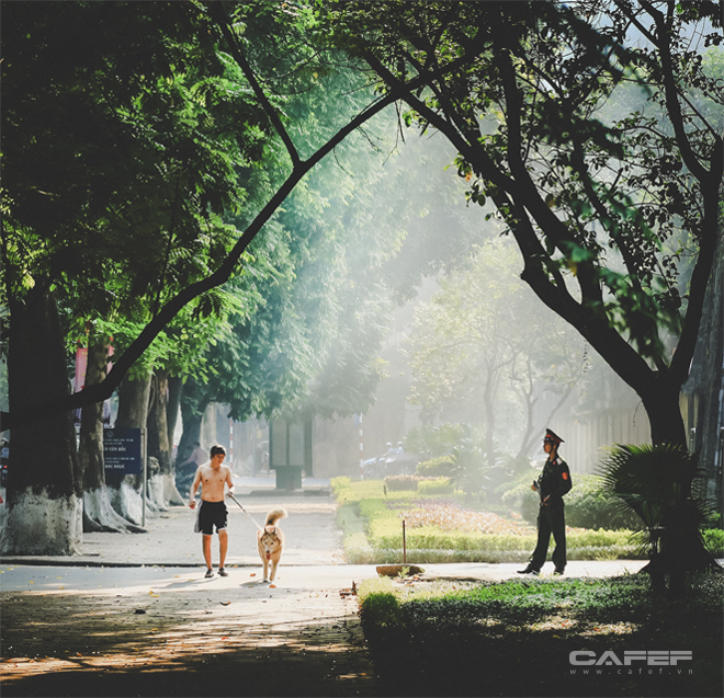 Người đàn ông đi dạo dắt chó trên đường Phan Đình Phùng một sớm mùa hè.