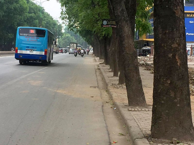 Hơn 1.300 cây xanh trên đường Phạm Văn Đồng sẽ bị chặt hạ, di chuyển