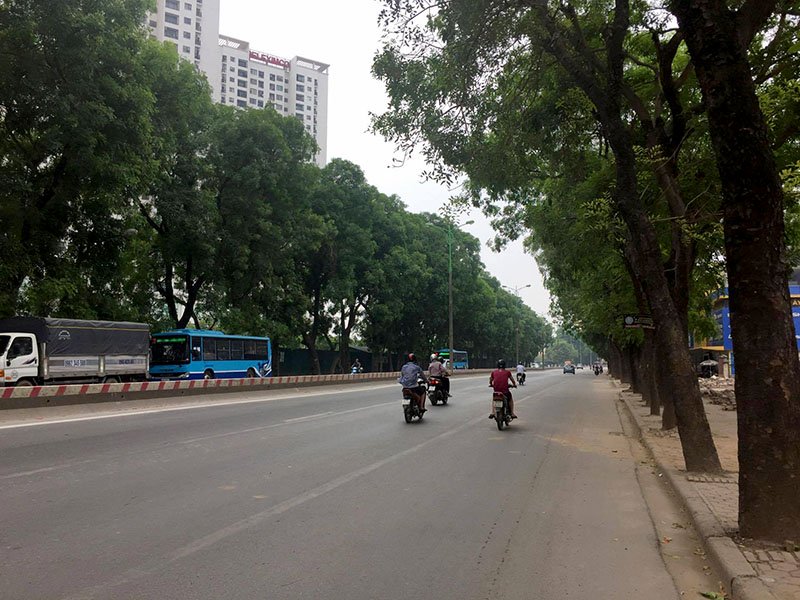 Hàng cây hiện tại trên đường Phạm Văn Đồng trước khi bị chặt hạ