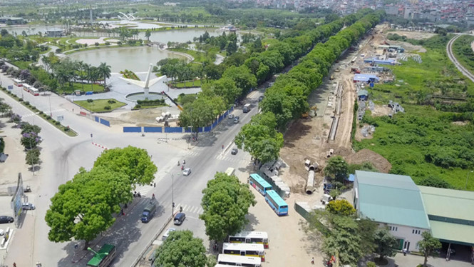 Hàng cây xà cừ trên đường Phạm Văn Đồng