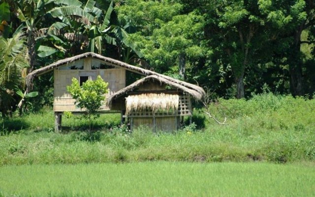 Kiến trúc xanh công nghệ thấp – Nhà ở truyền thống Bahay Kubo (Philippines) (Nguồn: www.thingsasian.com)