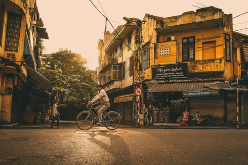 Mỗi hàng cây góc phố ở Hà Nội khiến ai đi xa cũng phải lưu luyến - Ảnh: NAM HOÀNG