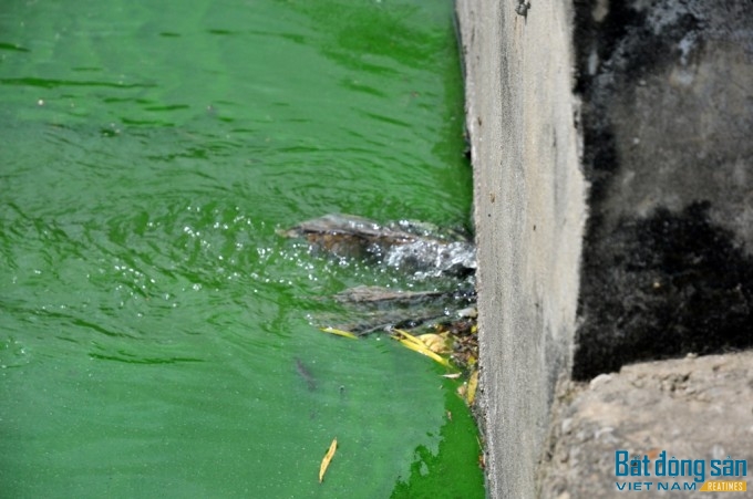 Mố cống bị đục thông để nước thải sinh hoạt đổ thẳng xuống hồ. Đây được người dân cho là nguyên nhân chính dẫn đến tình trạng ô nhiễm tại hồ Văn Quán.