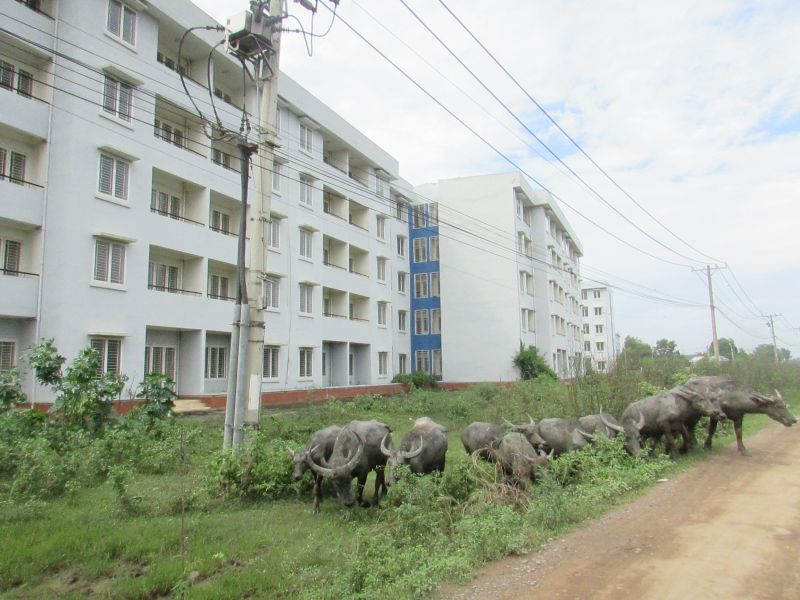 Xã Vĩnh Lộc B, huyện Bình Chánh từng xây hơn 1.000 căn nhà với từ 500  - 600 triệu đồng cho người thu nhập thấp, nhưng hiện tại số nhà trên đang tồn kho  rất nhiều.