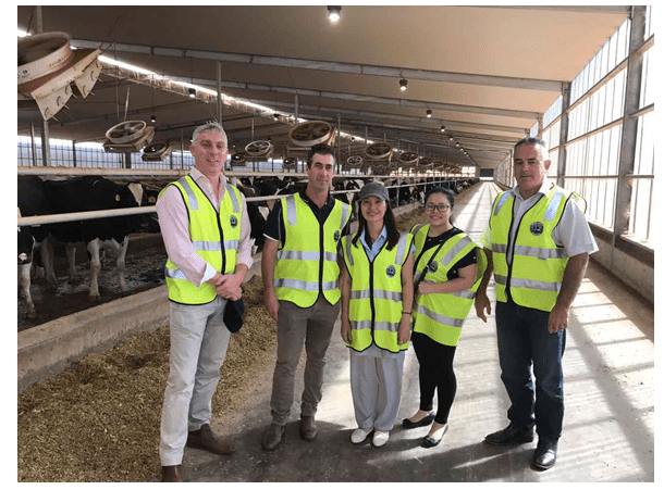 Bà Trần Thị My Lan - Đại diện công ty KLF Global thăm nông trại Moxey Farm – Nông trại bò sữa lớn nhất tại Úc hiện đang cung cấp sữa cho tập đoàn CDI ( sản phẩm Green Meadows) và Tập đoàn Pactum Dairy