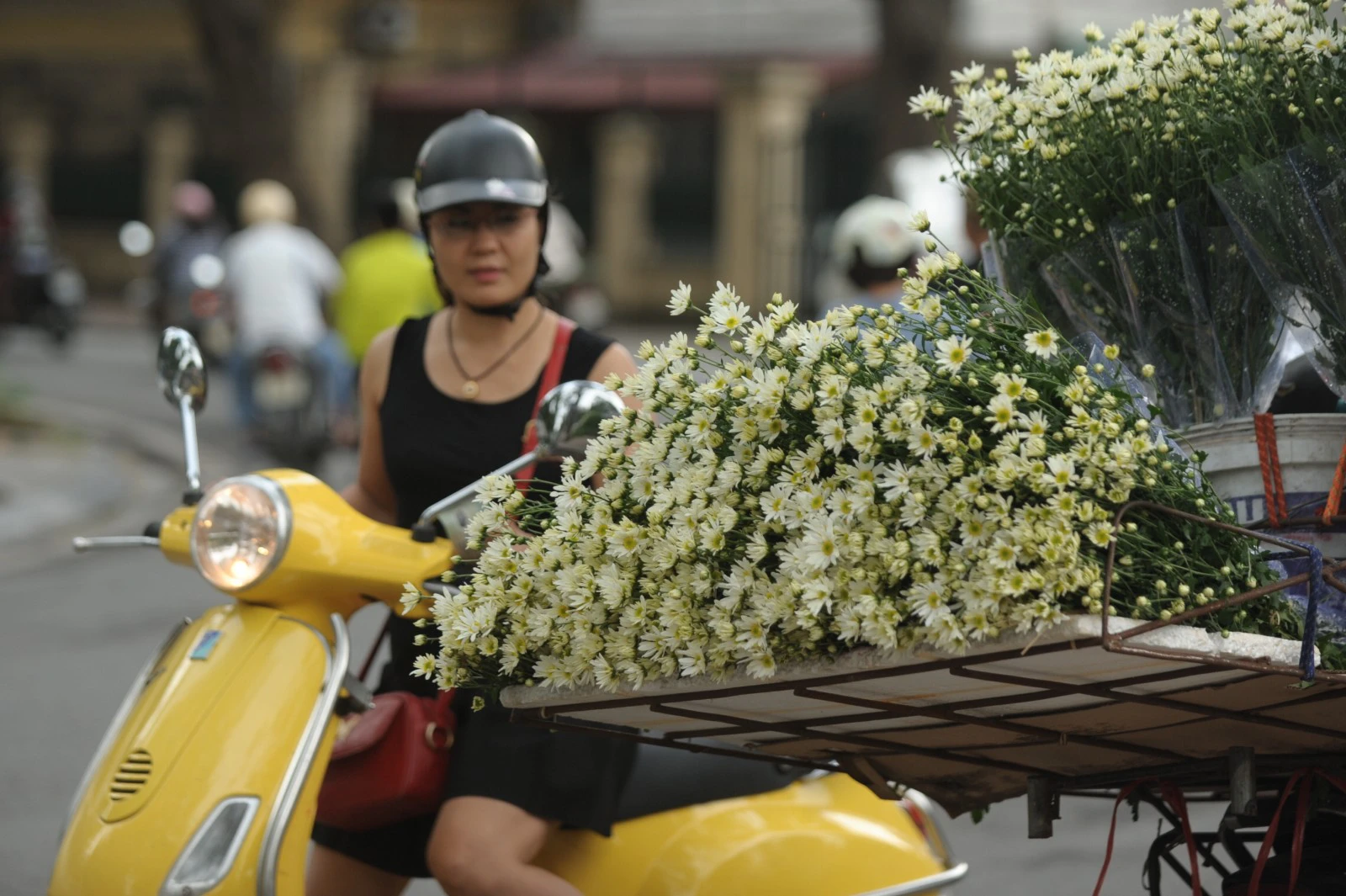 Những bông cúc xinh xắn, cánh trắng, nhụy vàng rung rinh sau thúng chất đầy hoa của đuôi xe đạp làm những người đi đường không thể không rung động, vội dừng xe lại để mua ít khóm hoa về nhà