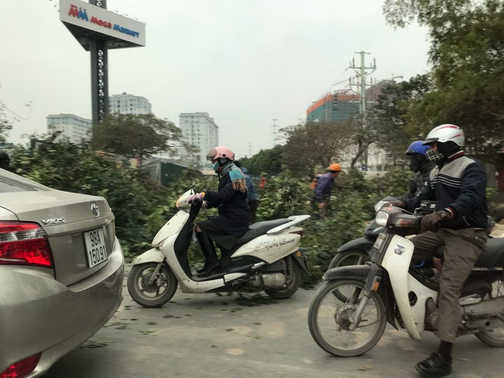 Ảnh chụp trên đường Phạm Văn Đồng lúc 8:20 phút sáng ngày 5/2, cả quãng đường tắc nghẽn hoạt động cắt tỉa cây xanh