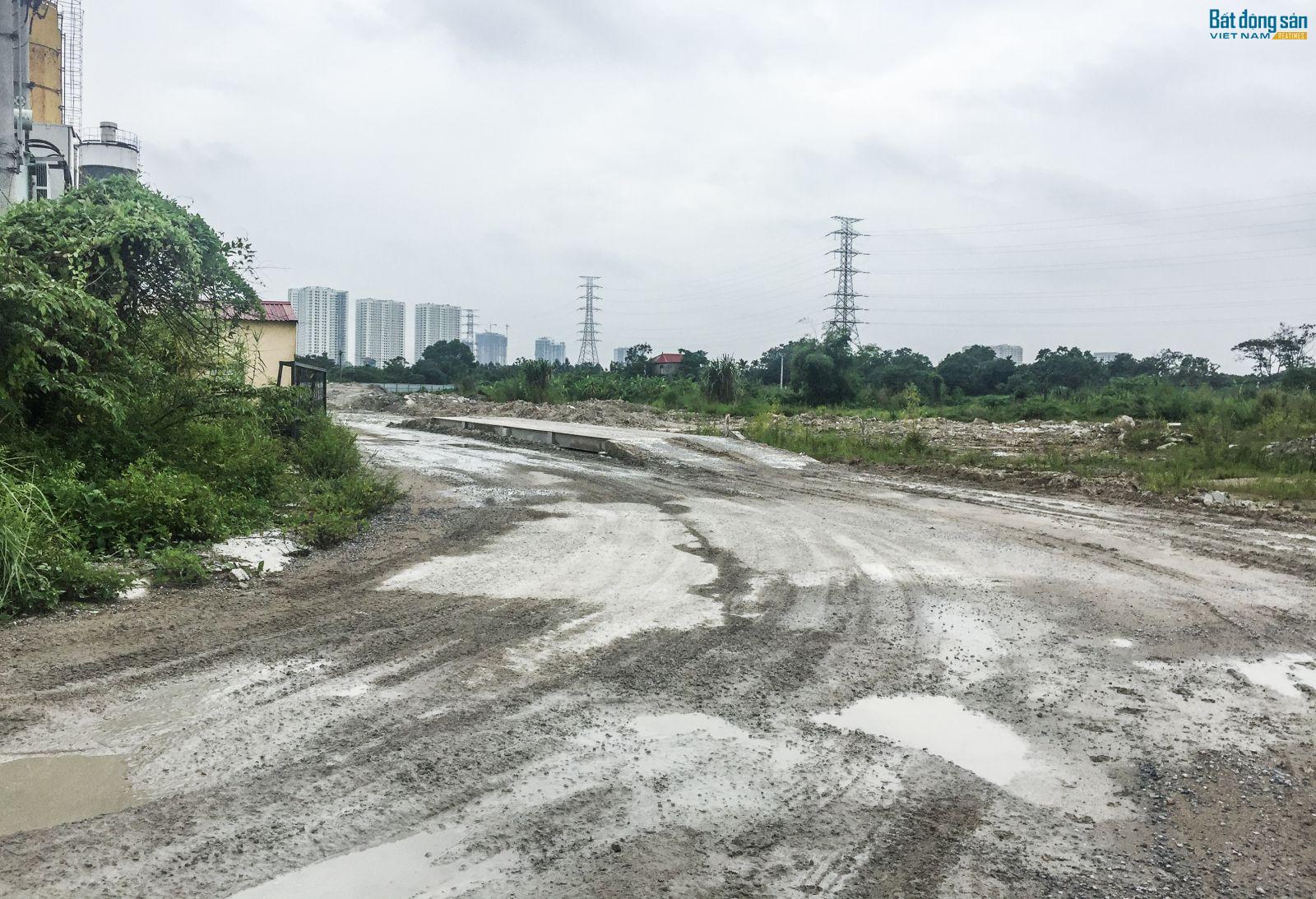 Đến nay, sau hơn 1 thập kỷ, dự án Khu đô thị mới Thịnh Liệt vẫn chỉ là bãi đất trống mọc đầy cỏ dại.