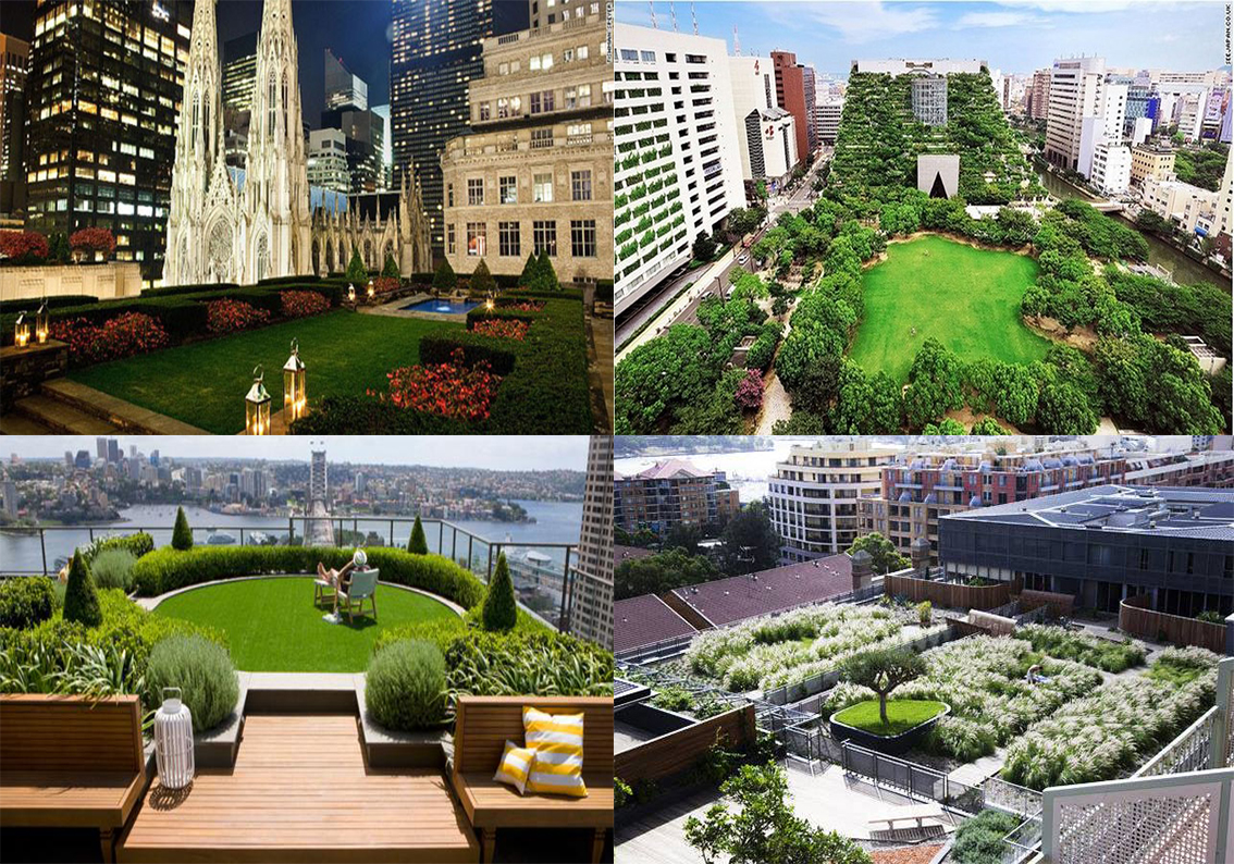 Một số khu vườn trên mái: Rockefeller Center Roof Garden (Hoa Kỳ), Acros Garden (Nhật Bản), Đài quan sát và Signature Apartments ở Redfern (Úc)