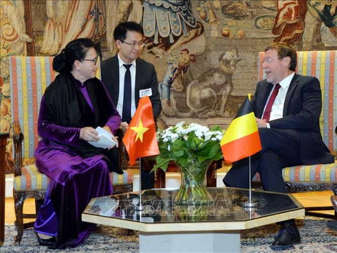 Chủ tịch Quốc hội Nguyễn Thị Kim Ngân hội kiến với Chủ tịch Hạ viện Vương quốc Bỉ Siegfried Bracke.