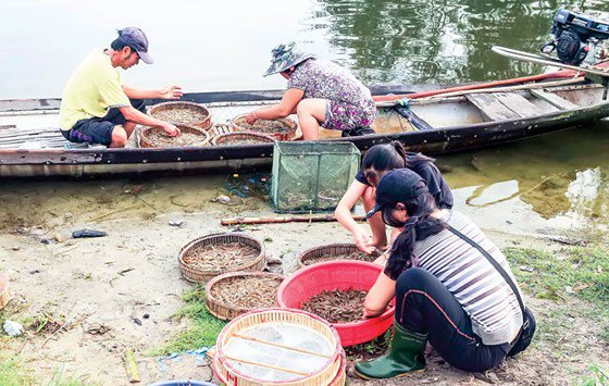 Cảnh mua bán cá tôm ở chợ nổi Ngư Mỹ Thạnh.