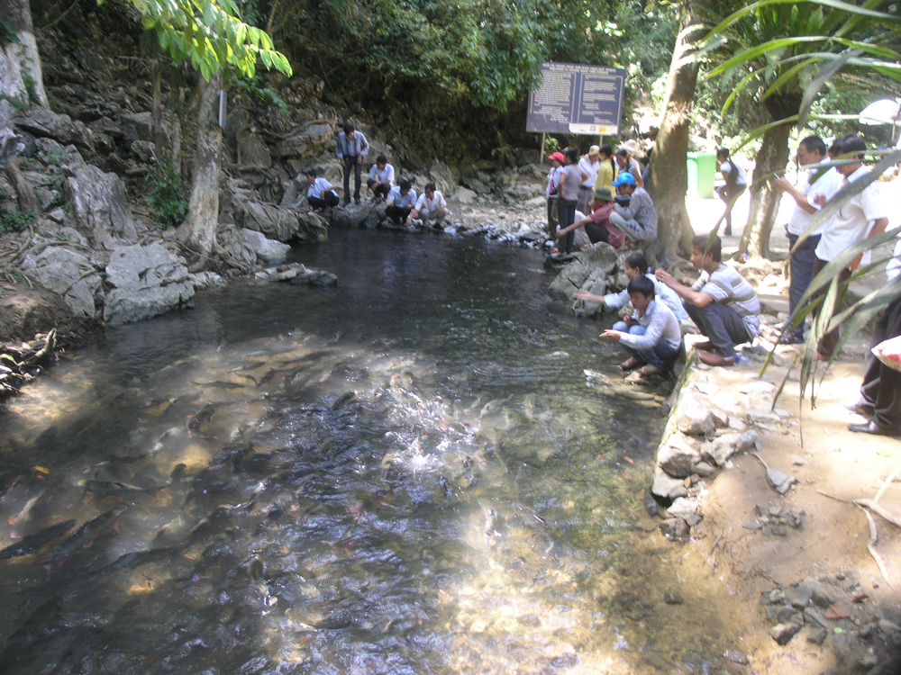 Hàng ngày có khá đông du khách tới thăm suối cá thần ở làng Lương Ngọc, xã Cẩm Lương, huyện Cẩm Thủy, tỉnh Thanh Hóa.