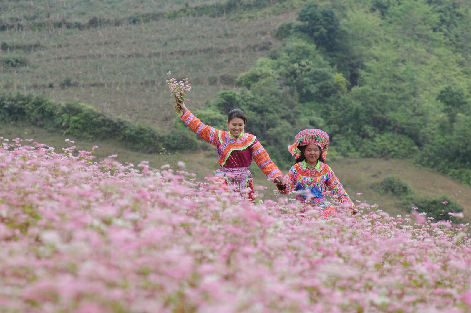 Tung tăng trên cánh đồng hoa Tam giác mạch tuyệt đẹp ở xã Thèn Phàng , huyện Xín Mần, tỉnh Hà Giang.