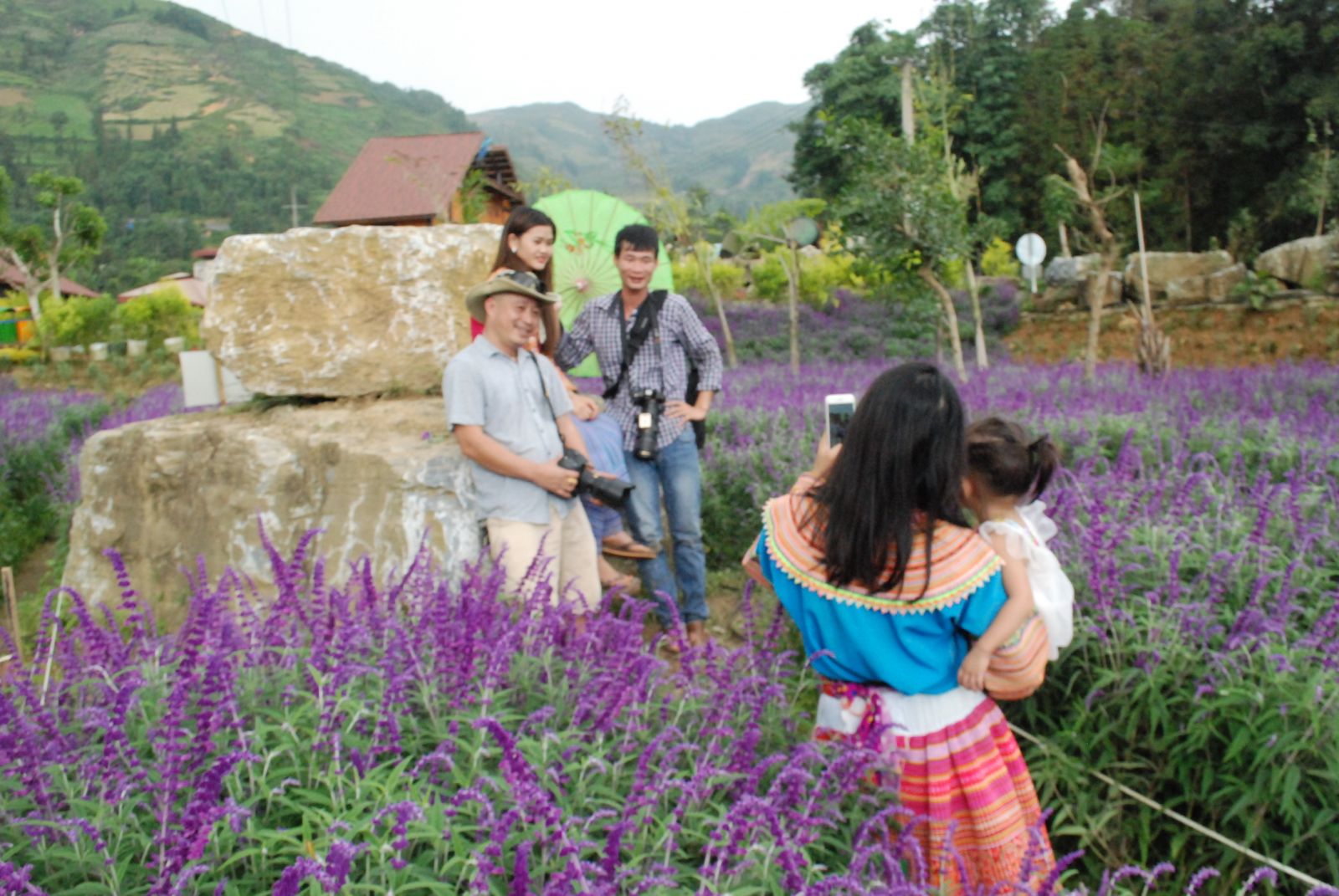 Hàng ngày rất đông du khách tới thăm quan, khám phá cánh đồng hoa oải hương ở 
