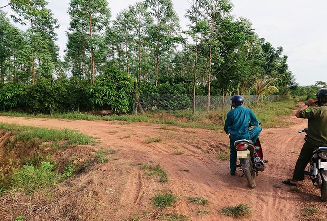 Người dân tại xã Ea Bung dựng nhà, trồng cây trên đất lâm nghiệp