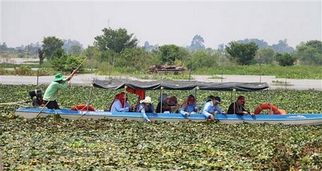 Du khách tham gia trải nghiệm hoạt động hái ấu của người nông dân ở khu vực lòng hồ Tân Trung, huyện Phú Tân, tỉnh An Giang. 