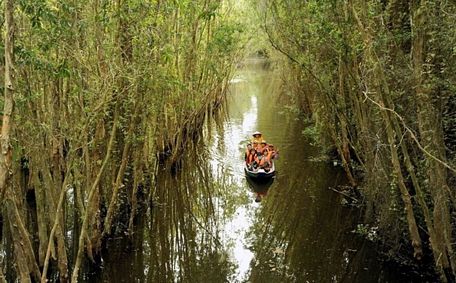 Du khách tham quan rừng tràm ngập nước tại khu du lịch làng nổi Tân Lập, tỉnh Long An.