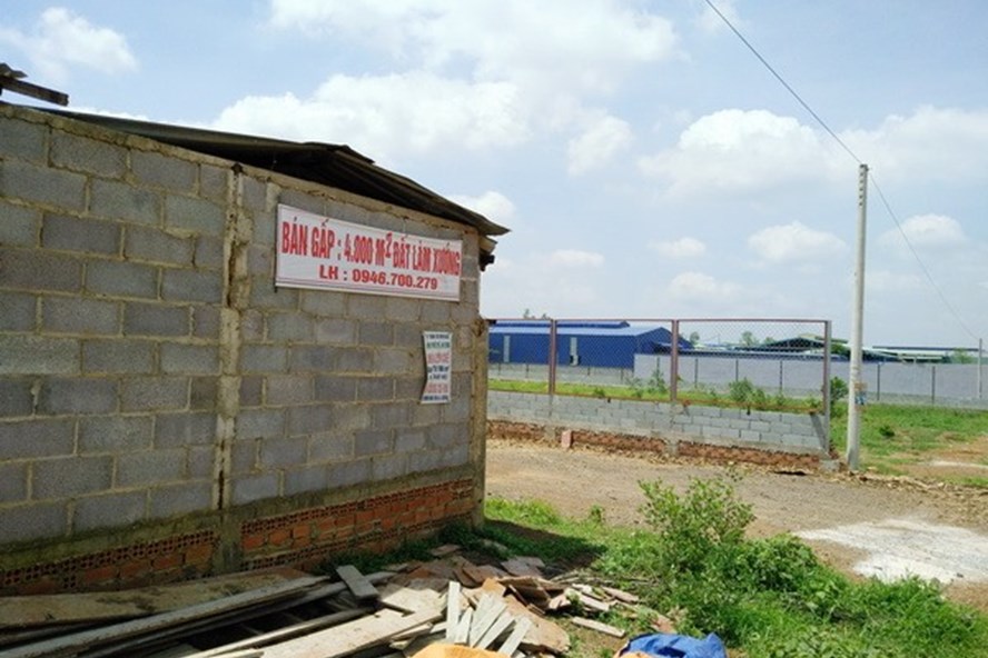Tình trạng phân lô, bán nền trái phép tại Cụm công nghiệp Phước Tân