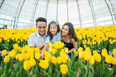 Lễ hội hoa tulip tại Vinpearl Land Nha Trang