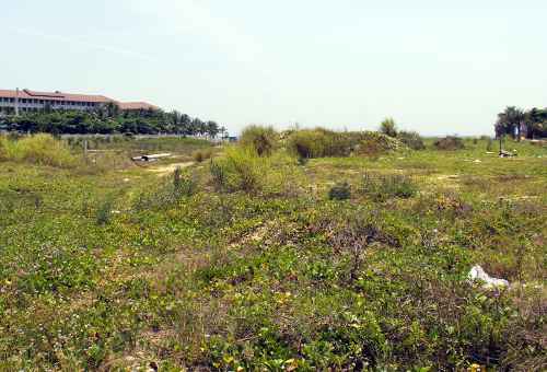 Khu đất ven biển hơn 15.500 m2 của Vũ 