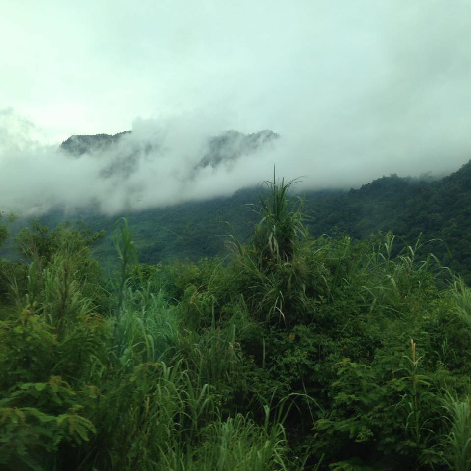 Cảnh sắc núi rừng Mộc Châu