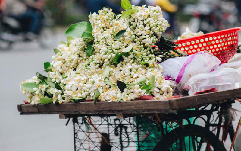 Những xe bán hoa bưởi có mặt trên khắp các con phố Hà Nội 