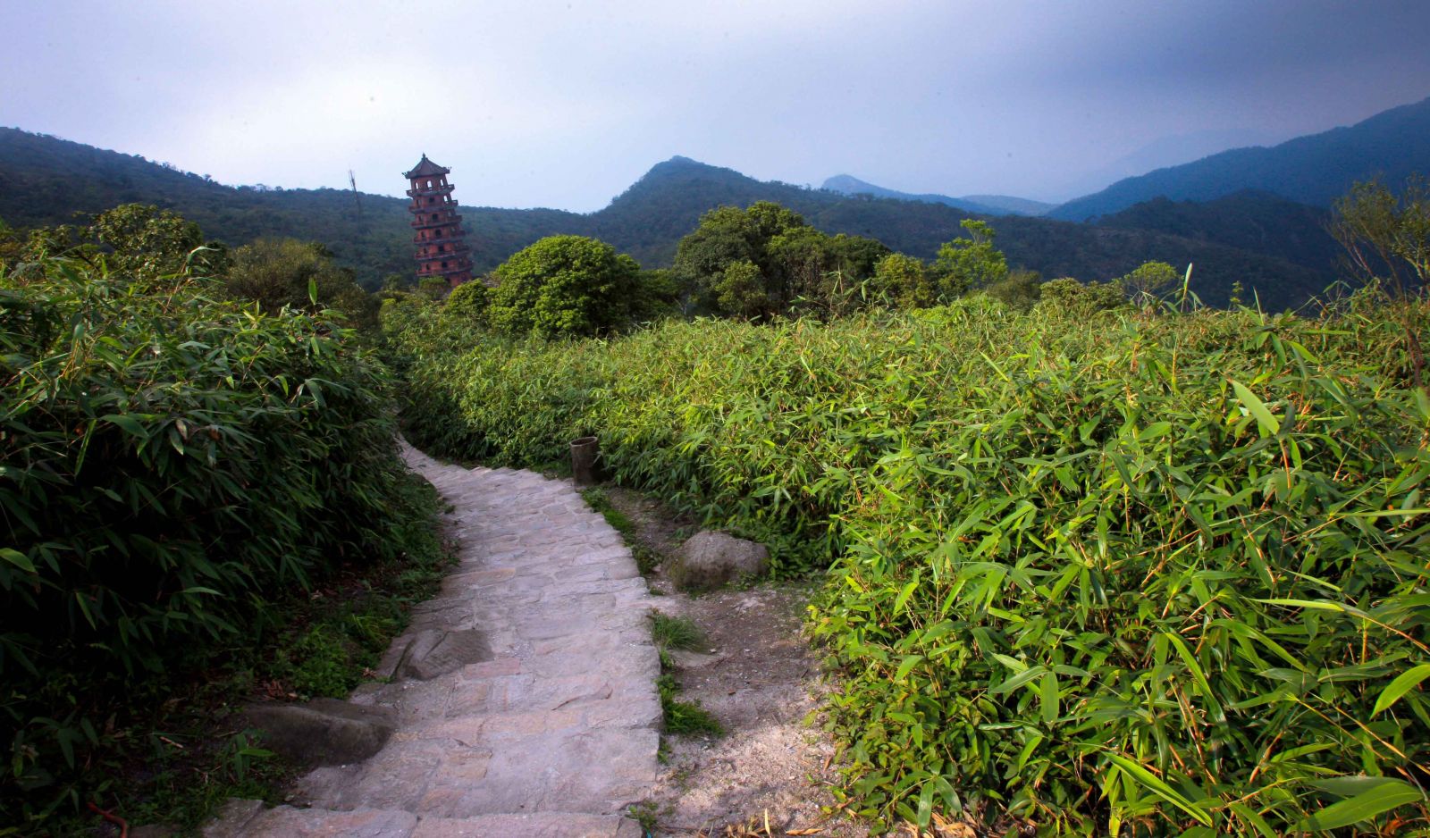 Hai bên đường đi bộ lên chùa Đồng là những vạt trúc xanh mướt và là loài cây độc đáo của Yên Tử. Xưa kia Phật hoàng Trần Nhân Tông lấy tên Trúc Lâm, tức “rừng trúc”, để đặt tên cho dòng Thiền của mình.