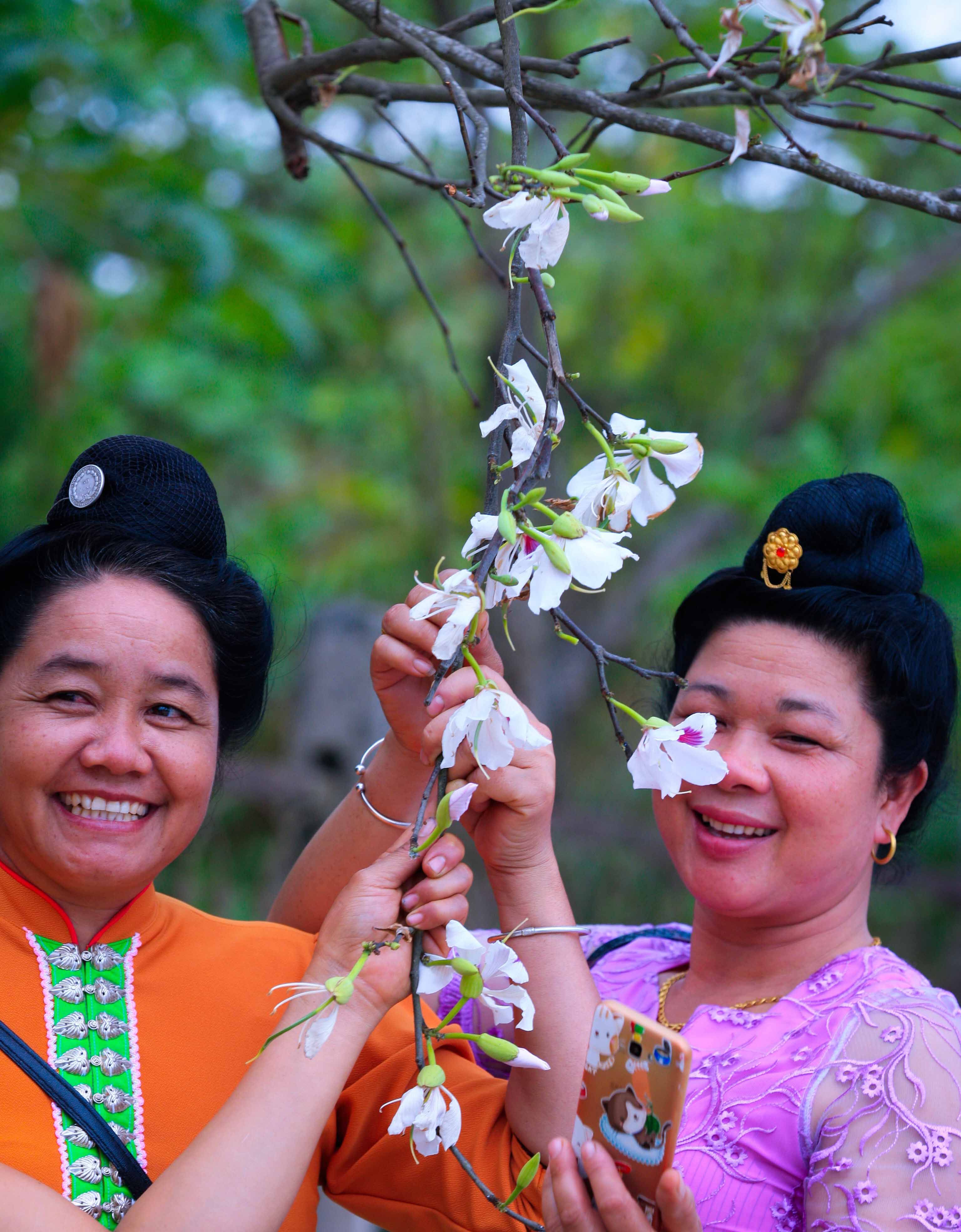 Những người phụ nữ dân tộc Thái trong bộ áo cóm của dân tộc mình thưởng lãm và chụp những bức ảnh bên cây hoa ban trên đường Nguyễn Hữu Thọ, nằm ven dòng sông Nậm Rốm.
