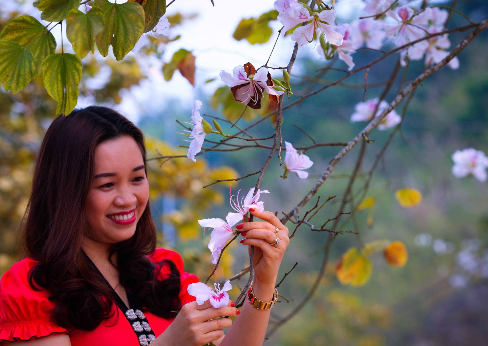 Hình ảnh những cô gái Thái e ấp, khoe sắc bên hoa ban trắng làm đắm say lữ khách khi dạo bước trên đất Mường Thanh.