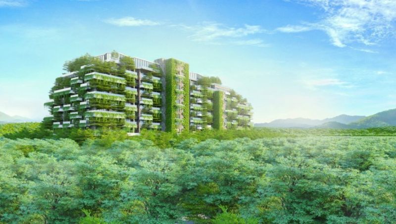 Phủ xanh chung cư bằng 50 nghìn cây xanh