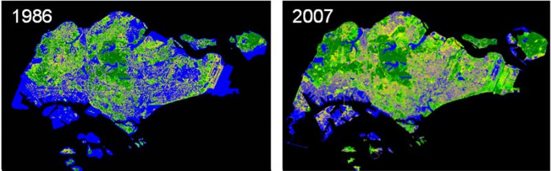 Qua 20 năm từ 1986 đến 2007, màu xanh bao trùm Singapore đã tăng lên gấp gần 3 lần
