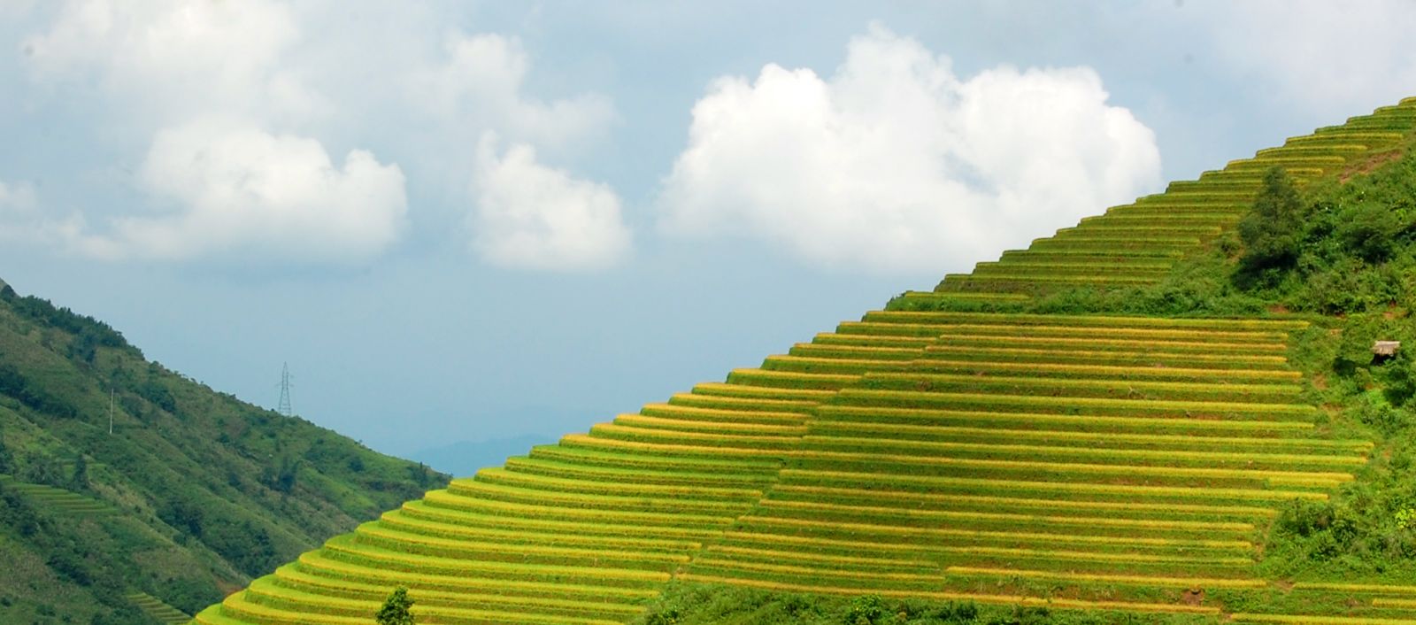 Ruộng bậc thang Sa Pa ( Lào Cai ) được tạp chí du lịch Mỹ Travel and Leisure bình chọn nằm trong Top 7 ruộng bậc thang đẹp, kỳ vỹ nhất châu Á và thế giới.p/Ảnh: Phạm Ngọc Triển
