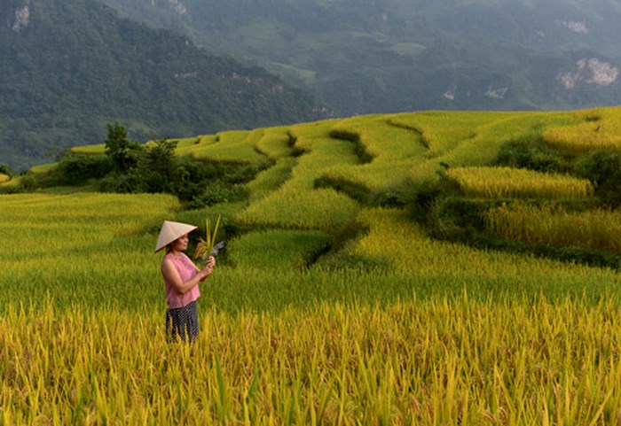 Du khách ngẩn ngơ trước vẻ đẹp của ruộng bậc thang.