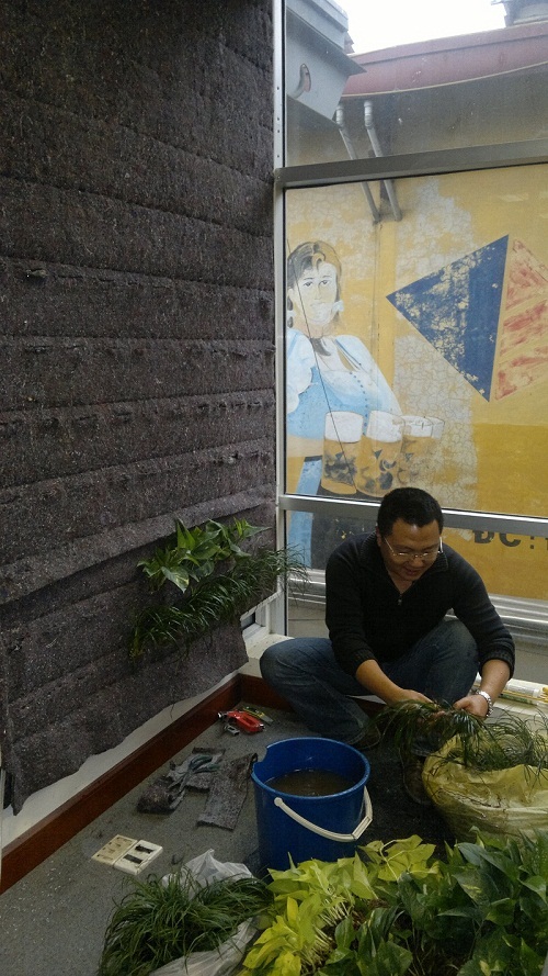 Nguyễn Quỳnh Tùng say mê bên công trình xanh của mình